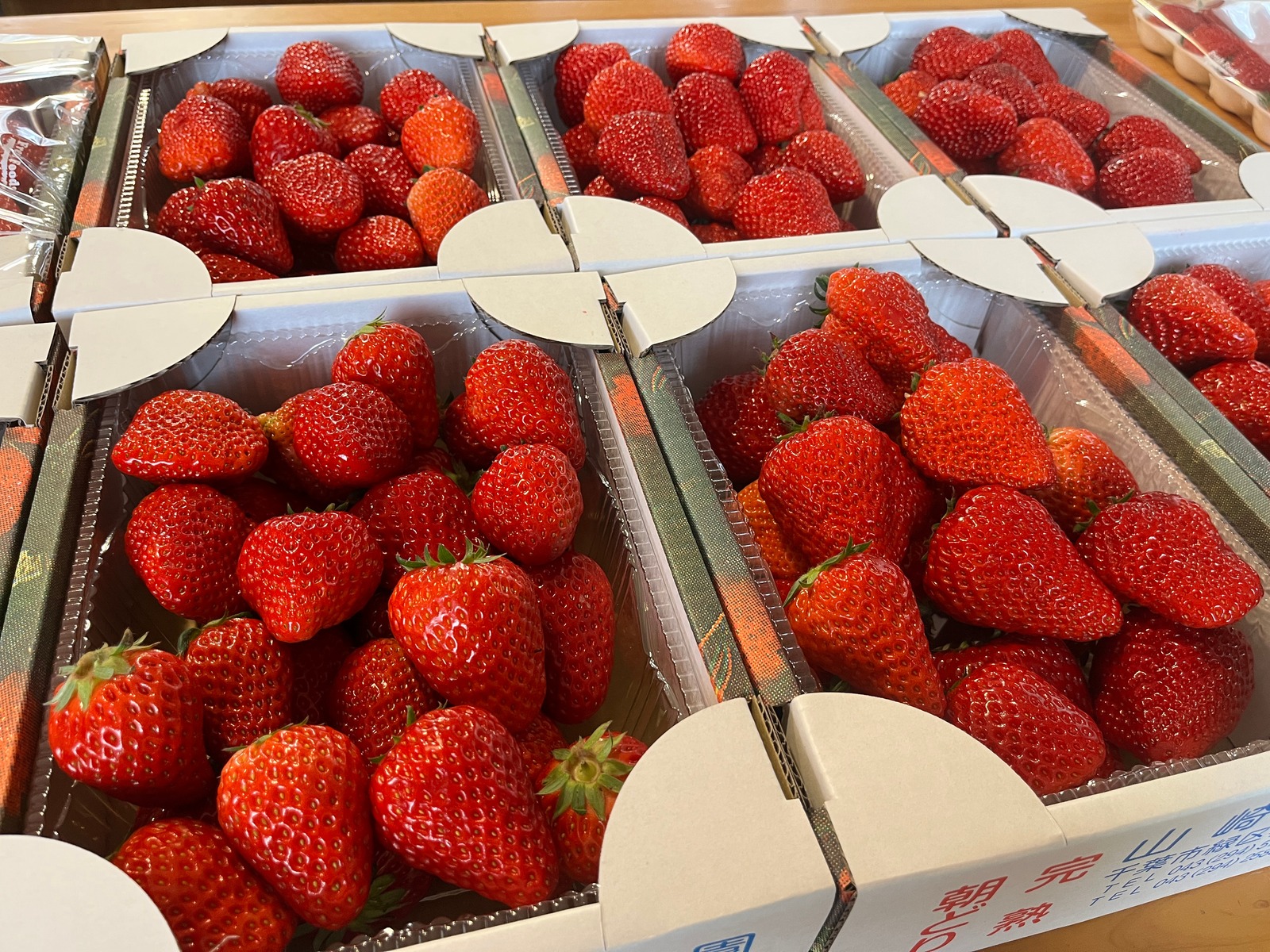 山崎いちご農園 | 千葉市土気のいちご直売所